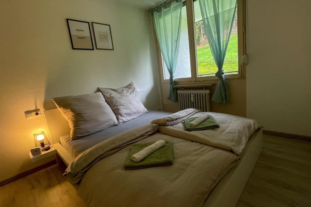 Shine Apartment オーバーシュタウフェン エクステリア 写真